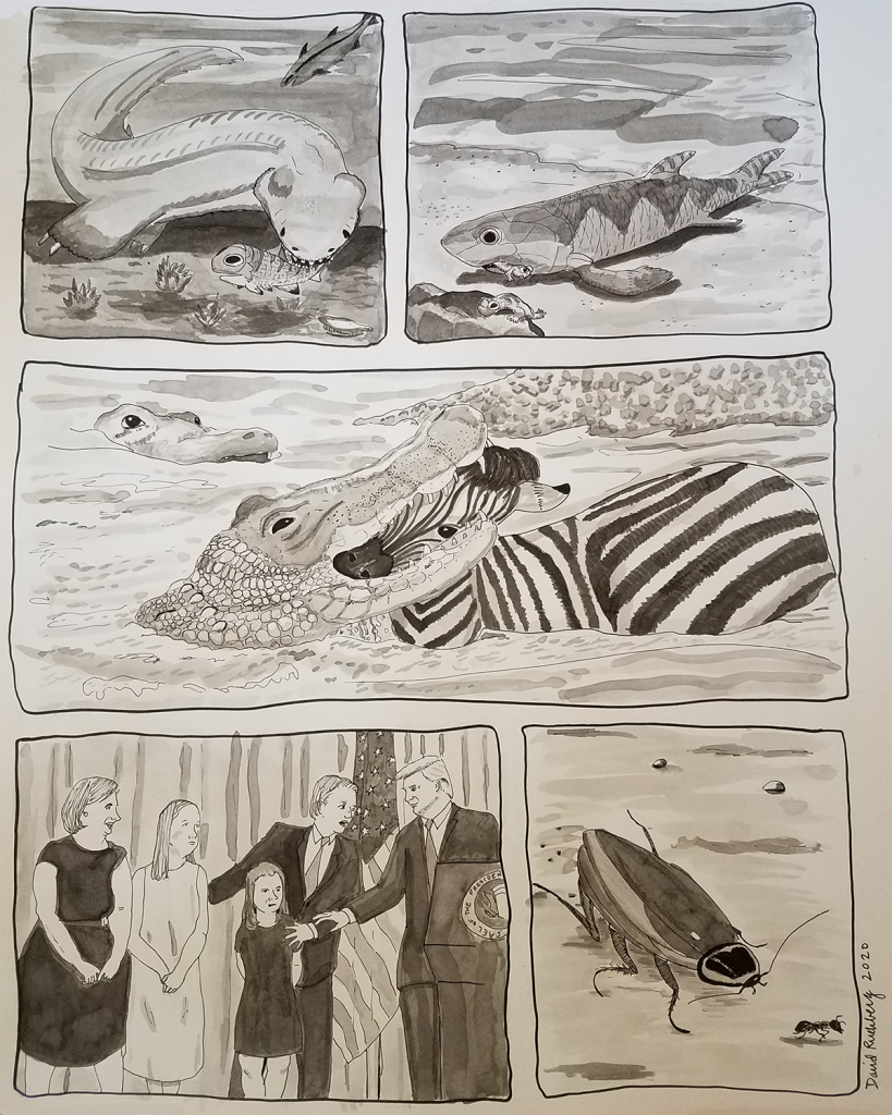 This is a five-panel sequential narration. The first two panels show primitive vertebrates viciously feeding on others. A wide middle panel shows a crocodile savaging a baby zebra in a stream. The fourth panel shows President Trump at Supreme Court Justice Brett Kavanaugh’s swearing-in ceremony; Trump reaches for one of Kavanaugh’s daughters. The final panel shows a cockroach preparing to consume an ant.