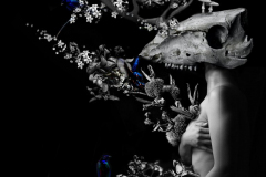 A black and white digital collage, a woman kneels on the right side of the image and a steer skull has replaced her head. The background of the image is made up of various plant life and flowers. Subtle hints of blue are scattered throughout the background.