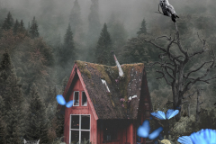 Image that is a photoshop collage, and contains a small red house amongst a mountain range with evergreen trees. Next to the house is an old tree with a large owl sitting at the top. In the foreground are ferns, a cat sitting next to a large mushroom, and various bright blue butterflies swirling about,
