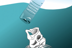 A digital design showing a plastic bottle floating on the surface of a body of water, and a bones of a fish are coming from below to eat the bottle.