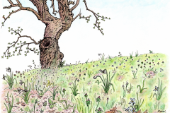 Roen-Cloutier-Enduring-Old-Tree