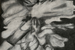 Drawing of a flower held in a hand, the flower tkes up the majority of the paper.