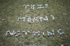A photograph looking at the ground where various crumpled up bottles spell the words This Means Nothing. Below the bottles is text that reads This Means Nothing.
