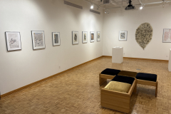 Installation view of Drawings, sculptures and paintings by Anne Havens in the Mercer Gallery.