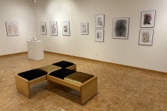 Installation view of Drawings, sculptures and paintings by Anne Havens in the Mercer Gallery.