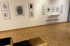 Installation view of Drawings and prints by Anne Havens in the Mercer Gallery.