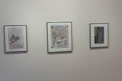 Installation view of collages and paintings by Anne Havens in the Mercer Gallery.