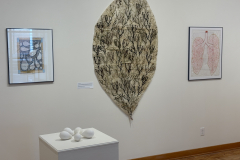 Installation view of Drawings, sculptures and prints by Anne Havens in the Mercer Gallery.