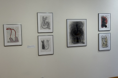 Installation view of Drawings, prints and paintings by Anne Havens in the Mercer Gallery.