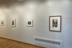 Installation shot of gallery, showing the right wall of the gallery, with four framed prints hung evenly on the wall.