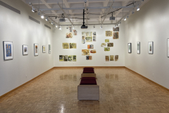 Wide installation shot of gallery, showing arrangement of various prints on rear wall of gallery, and framed prints hung evenly on the right and left walls..