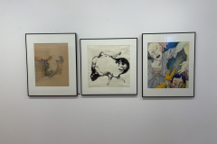 Installation view of Drawings and paintings by Julianna Furlong Williams in the Mercer Gallery.