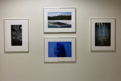 Detail image of artwork hanging in building 4 near the photography studio. This area is known as The Lagerway - Prather Gallery. Artwork shown by Umarah Abdul-Rahim,  Lucas Hubbard, Melissa Tylock, and Bethany Couture.