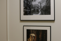Detail image of artwork hanging in building 4 near the photography studio. This area is known as The Lagerway - Prather Gallery. Artwork shown by Katherine Vollmer  and Kristen Slater
