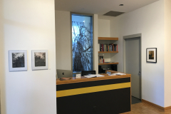 Installation image of Pat Bacon exhibition.