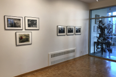 Installation image of Pat Bacon exhibition.