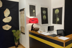 Installation image of Patti Russotti exhibition. This image shows large photos printed on cloth , and some paper fans.