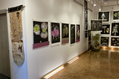 Installation image of Patti Russotti exhibition. This image shows large photos printed on cloth.