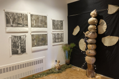 Installation image of Patti Russotti exhibition. This image shows large photos printed on cloth , a sculpture made of gourds, some plants on the floor and some paper fans.