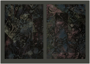 A two-panel piece made up of organic shapes in darkened hues of pink, blue and yellow.  Each panel has a superimposed rectangular form and a black background.