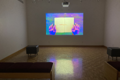 Installation shot of gallery showing video projected on rear wall.